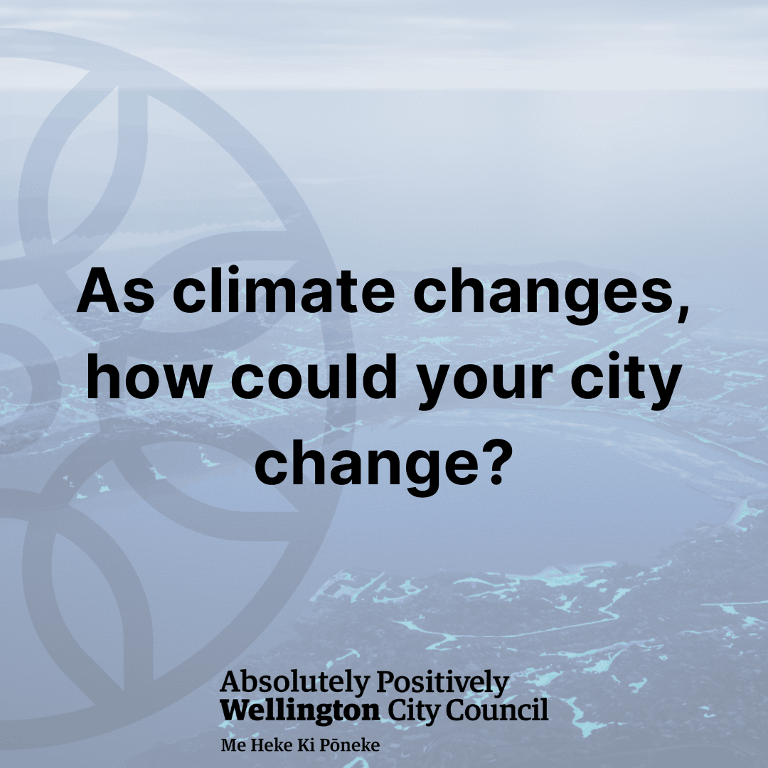 Wellington’s Digital Twin: A New Tool for Climate Action & Community Engagement